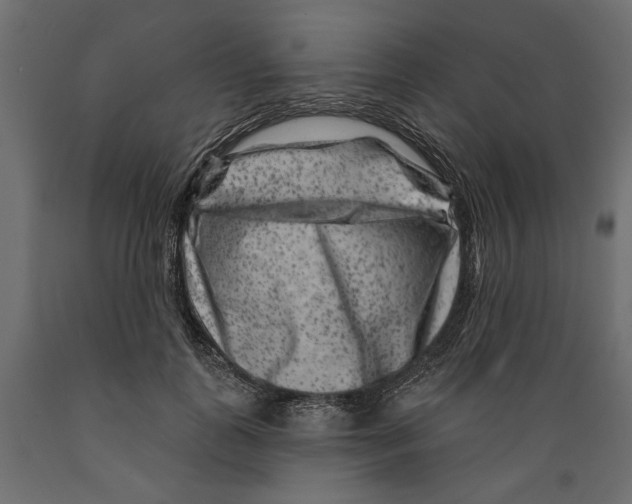 X0000088880747200707061410