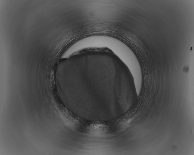 X0000088880748200707061410