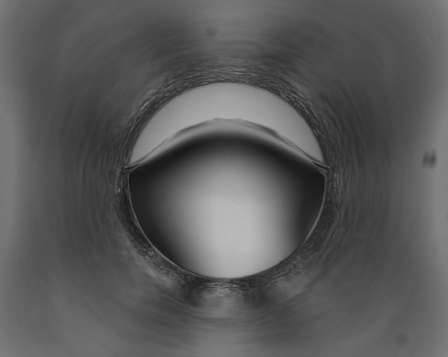 X0000088880750200707061410