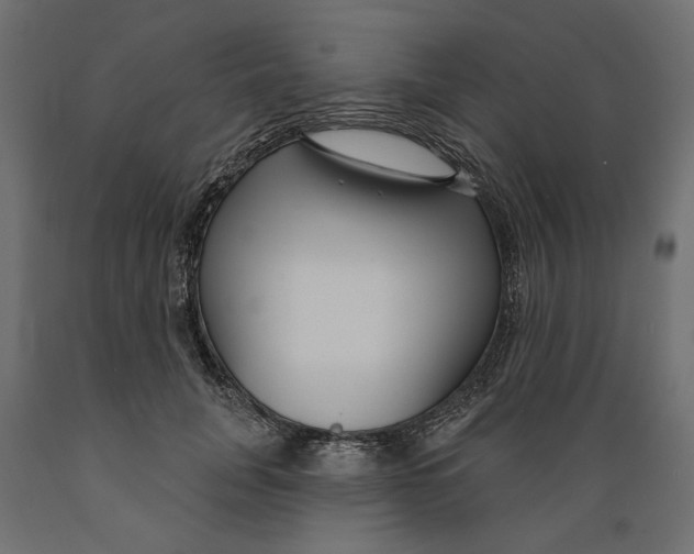 X0000088880751200707061410