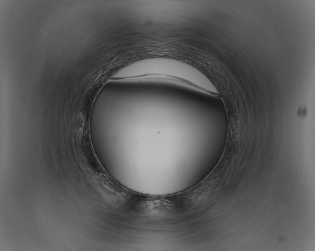 X0000088880752200707061410