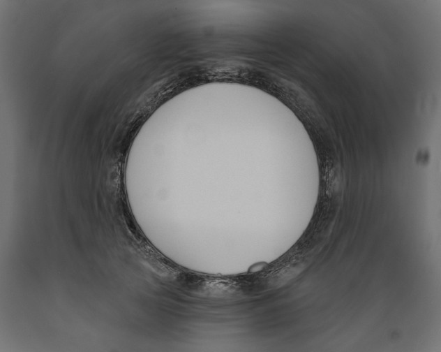 X0000088880753200707061410