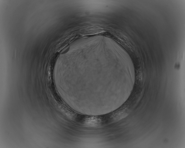 X0000088880754200707061410