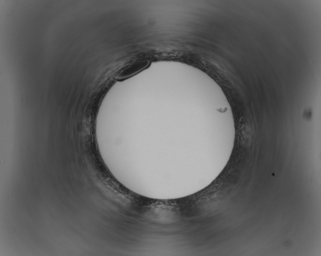 X0000088880756200707061410