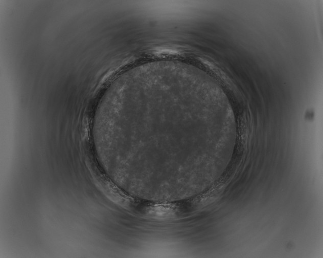 X0000088880758200707061410