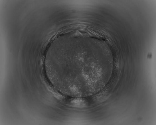 X0000088880759200707061410
