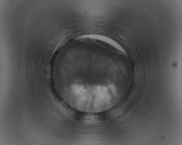 X0000088880760200707061410