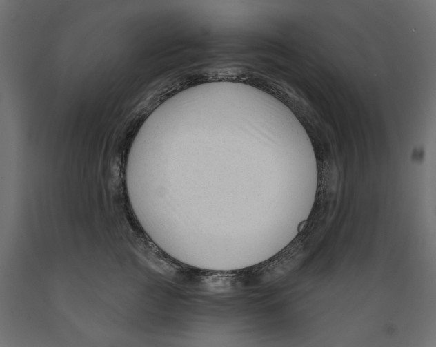 X0000088880761200707061410