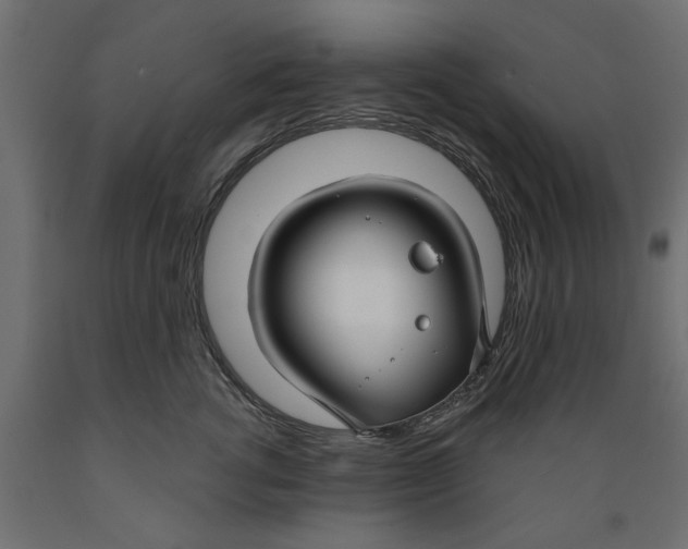 X0000088880762200707061410