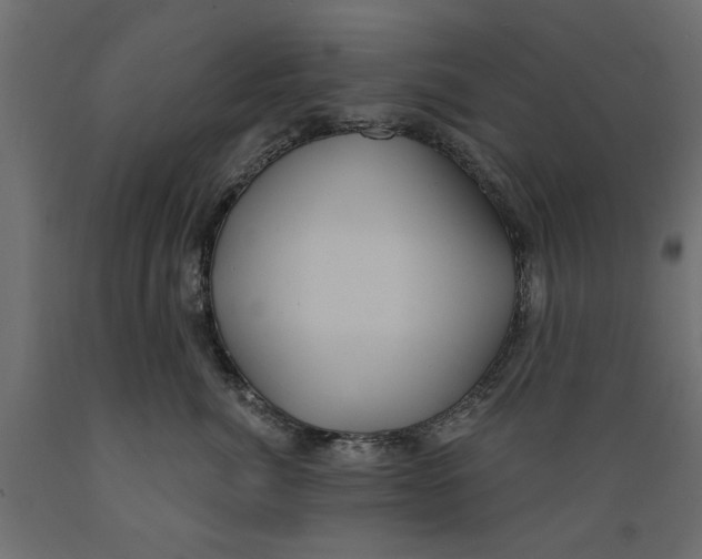 X0000088880764200707061410