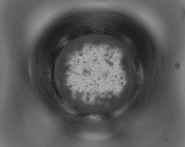 X0000088880765200707061410
