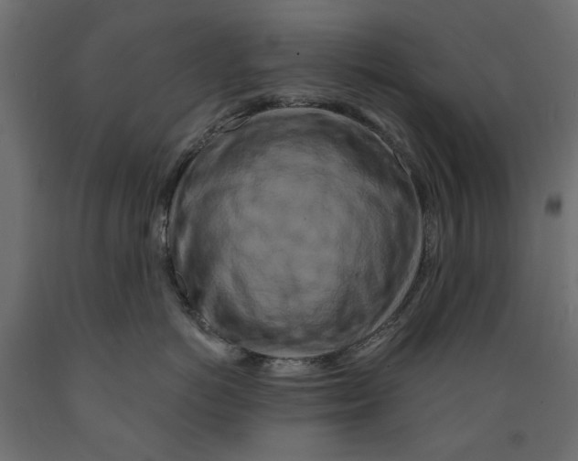 X0000088880766200707061410