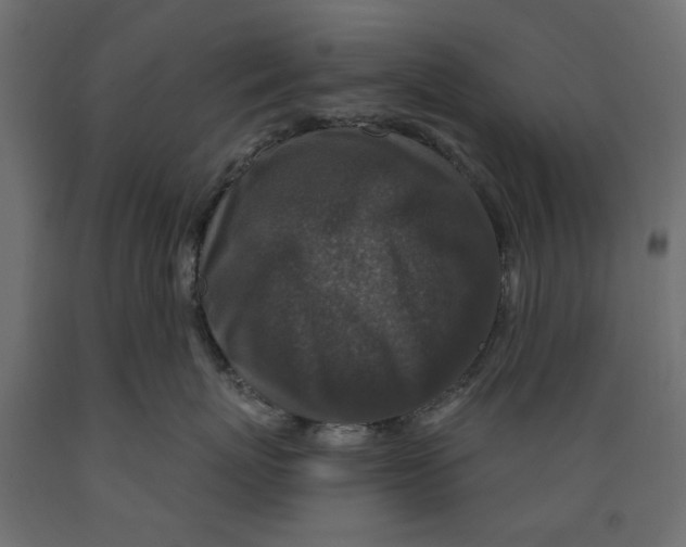 X0000088880767200707061410