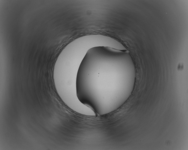 X0000088880768200707061410