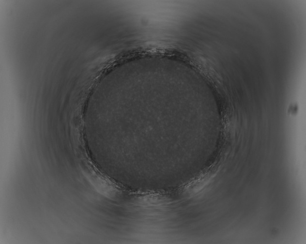X0000088880769200707061409