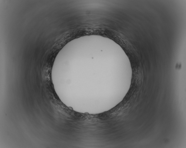 X0000088880770200707061409