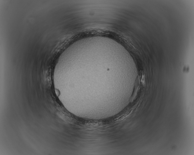 X0000088880771200707061409