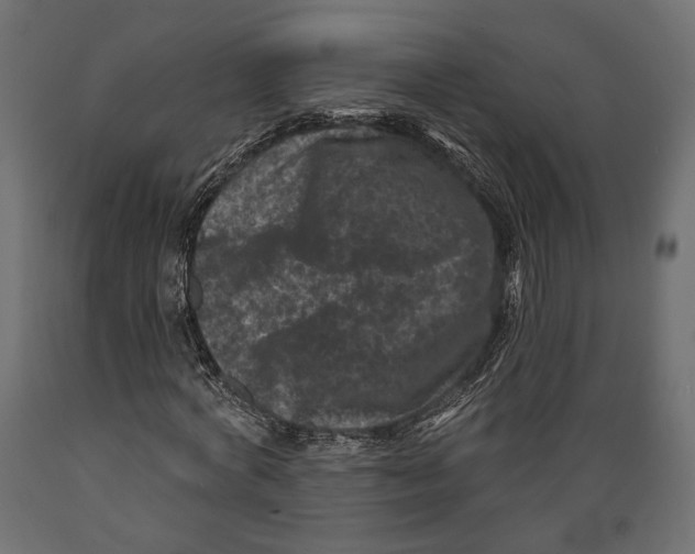 X0000088880772200707061409