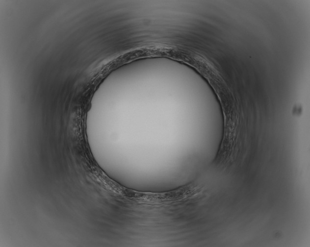 X0000088880773200707061409