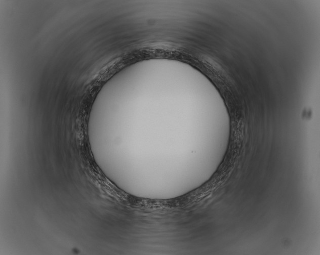 X0000088880774200707061409