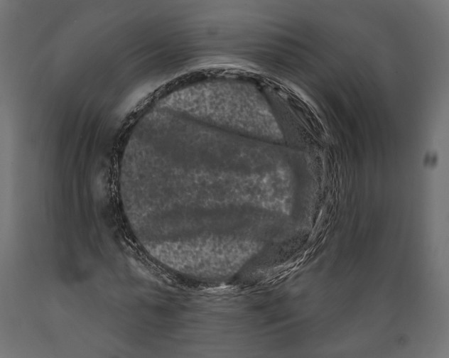 X0000088880775200707061409