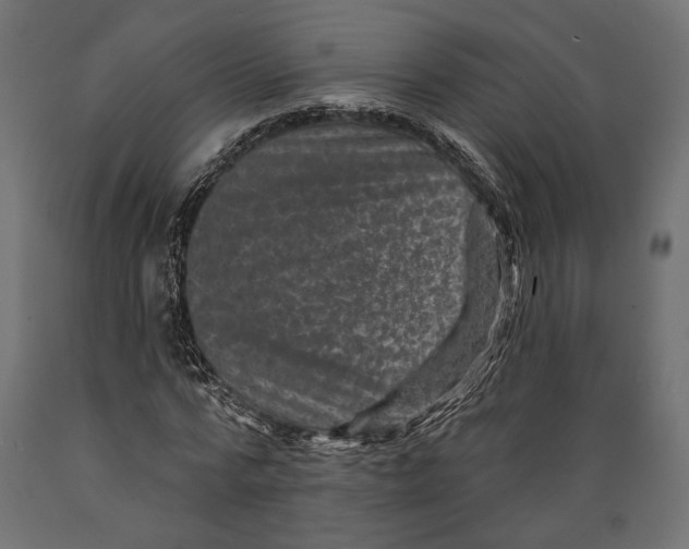 X0000088880776200707061409