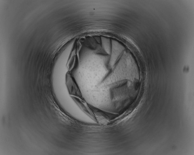 X0000088880777200707061409