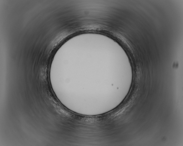 X0000088880778200707061409