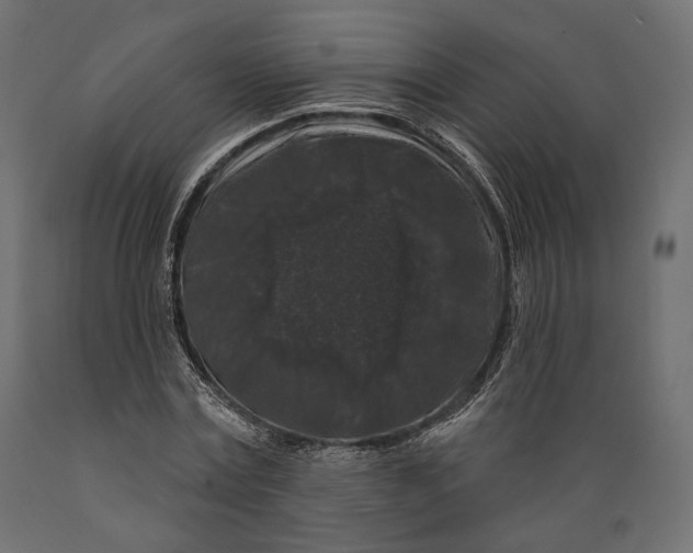X0000088880779200707061409