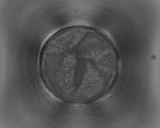 X0000088880780200707061409