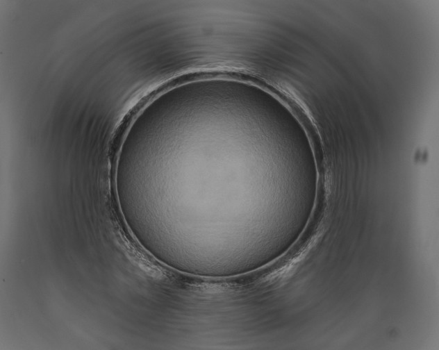 X0000088880781200707061409
