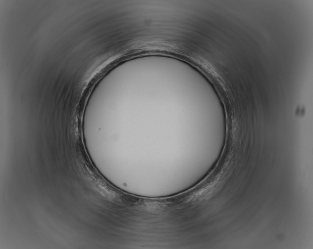 X0000088880782200707061409