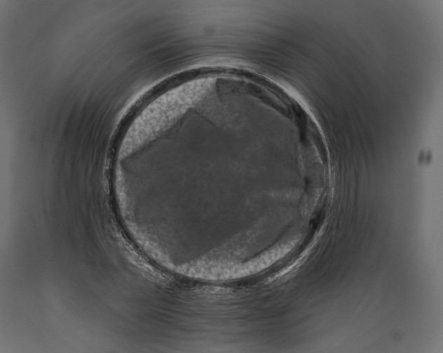 X0000088880783200707061409