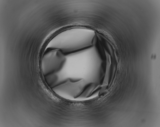 X0000088880784200707061409