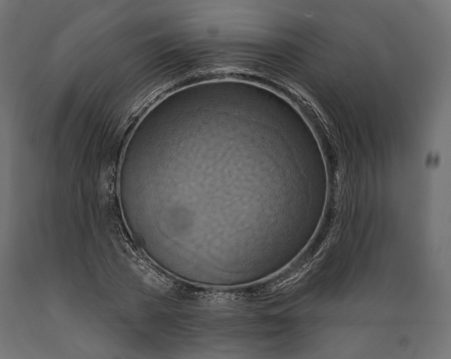 X0000088880785200707061409