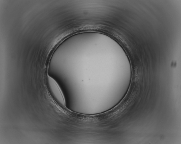 X0000088880786200707061409