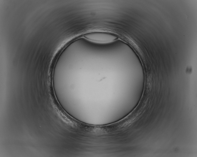 X0000088880787200707061409