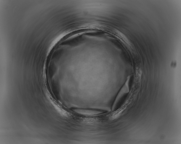 X0000088880788200707061409