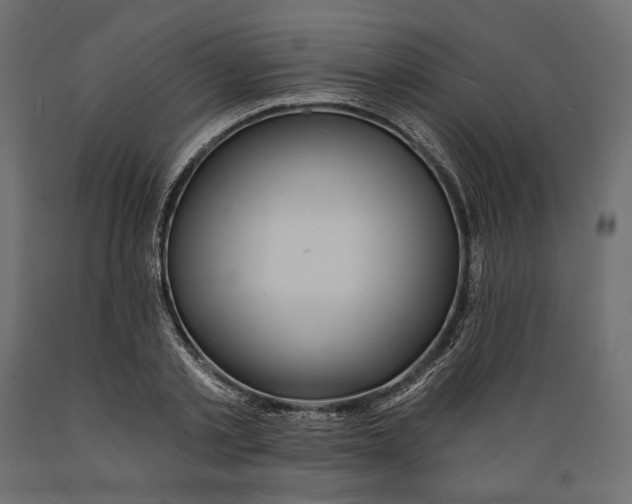 X0000088880789200707061409