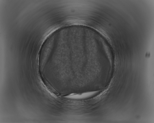 X0000088880790200707061409