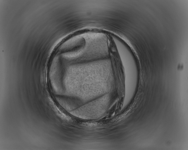 X0000088880791200707061409