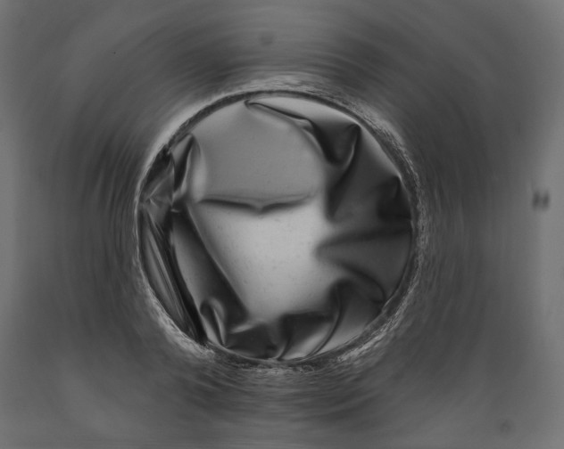 X0000088880792200707061409