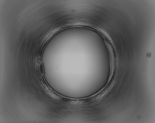 X0000088880793200707061409
