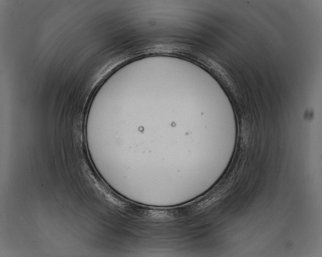 X0000088880794200707061409