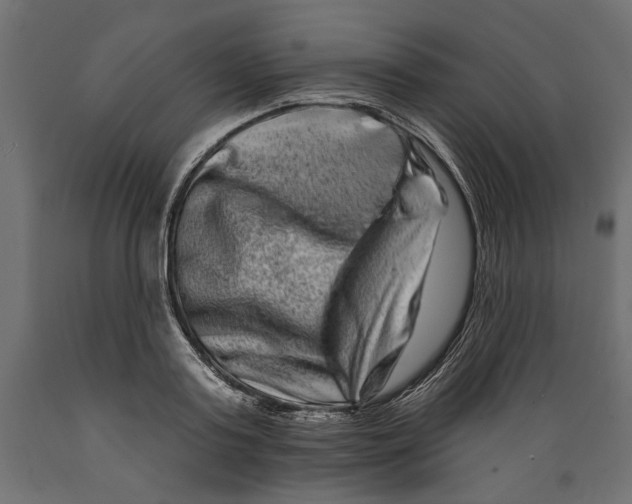 X0000088880795200707061409
