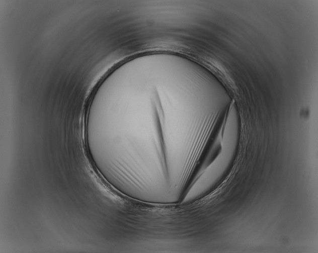 X0000088880796200707061409