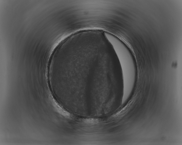 X0000088880797200707061409