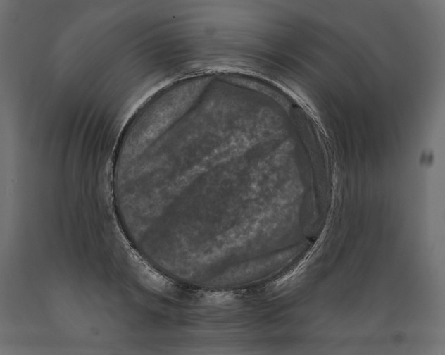 X0000088880798200707061409