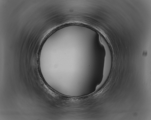 X0000088880799200707061409
