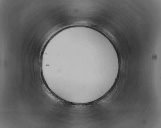 X0000088880800200707061409